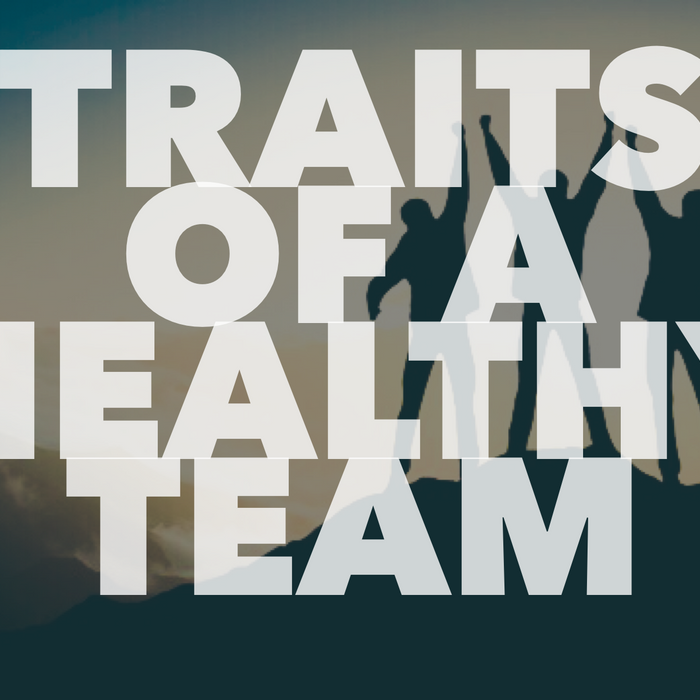 4 Traits of a Healthy Volunteer Team