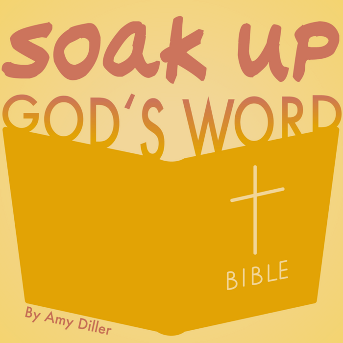 Soak Up God’s Word