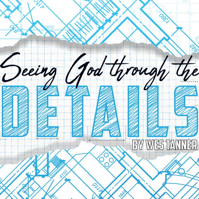 Seeing God Through the Details