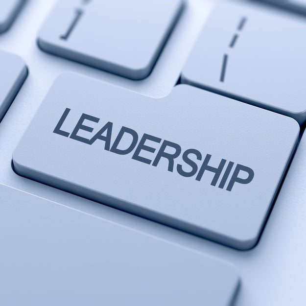 Linked Post: The Intervention Leadership Principle