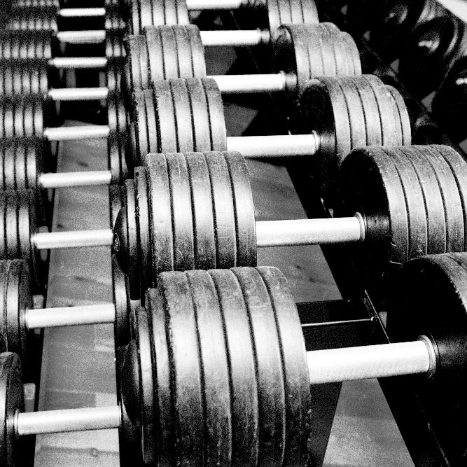 Benchpress And The Bible: What The Gym Can Teach Us About Discipling Students