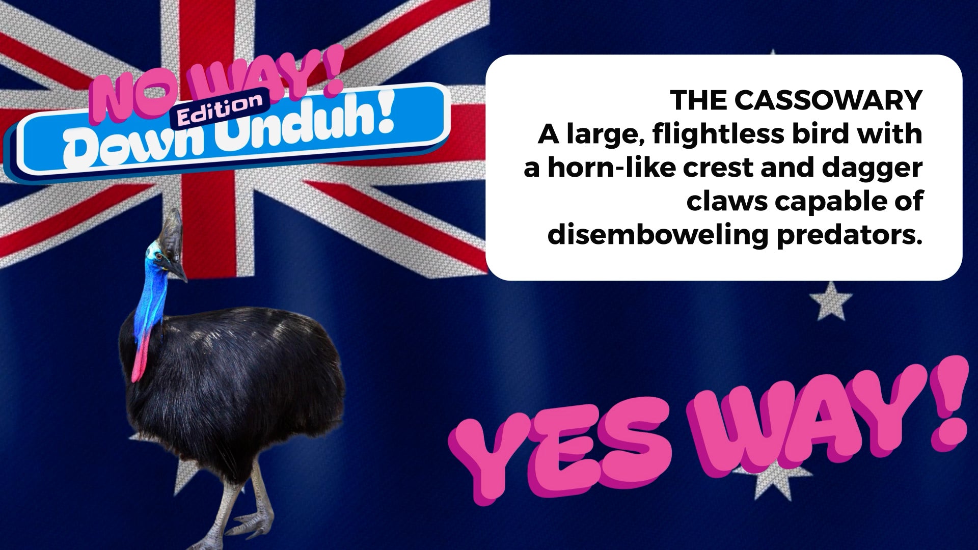 No Way! - Down Unduh Edition