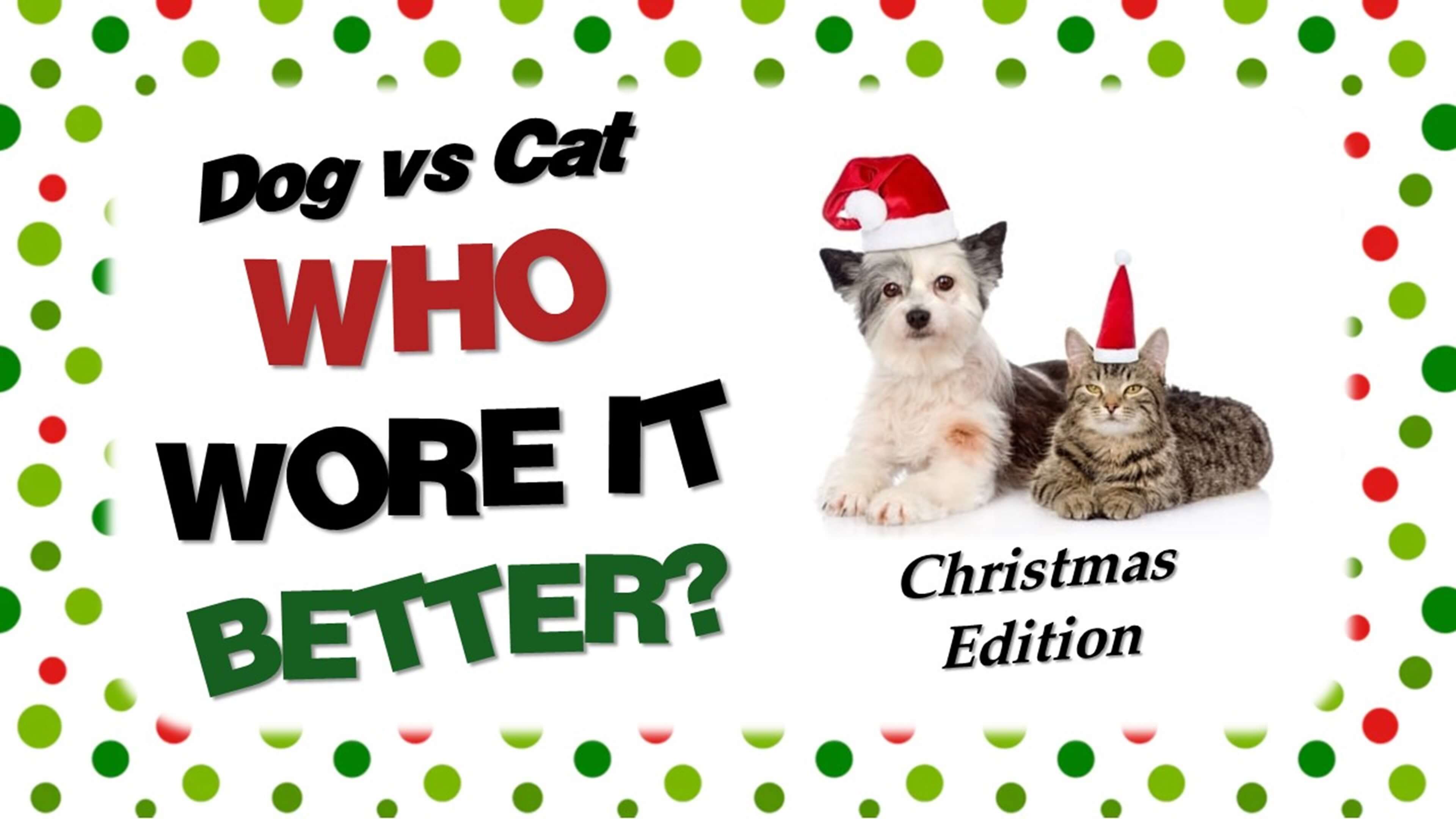 Dog vs Cat: Who Wore It Better Christmas Edition