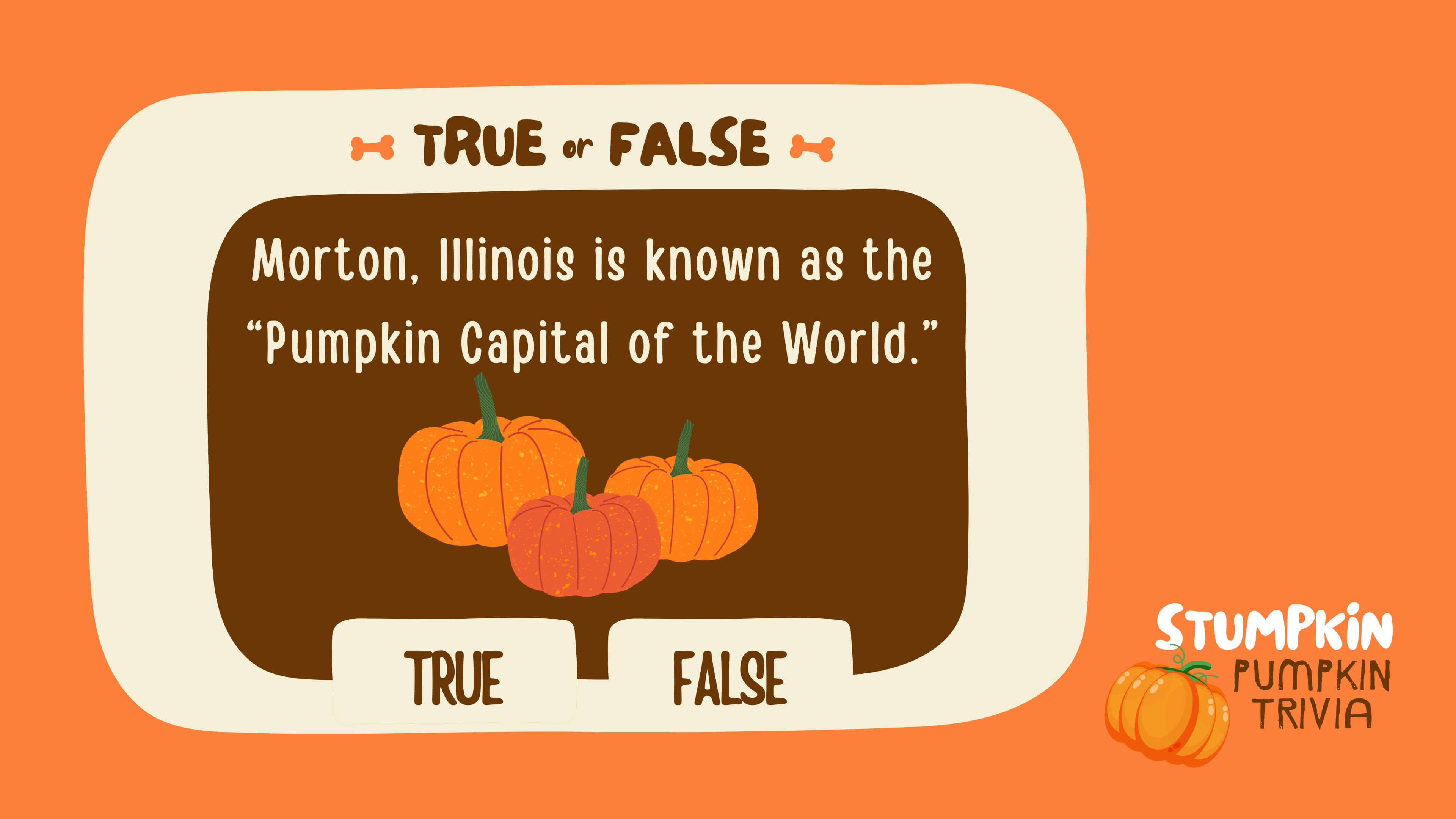 Stumpkin Pumpkin Trivia