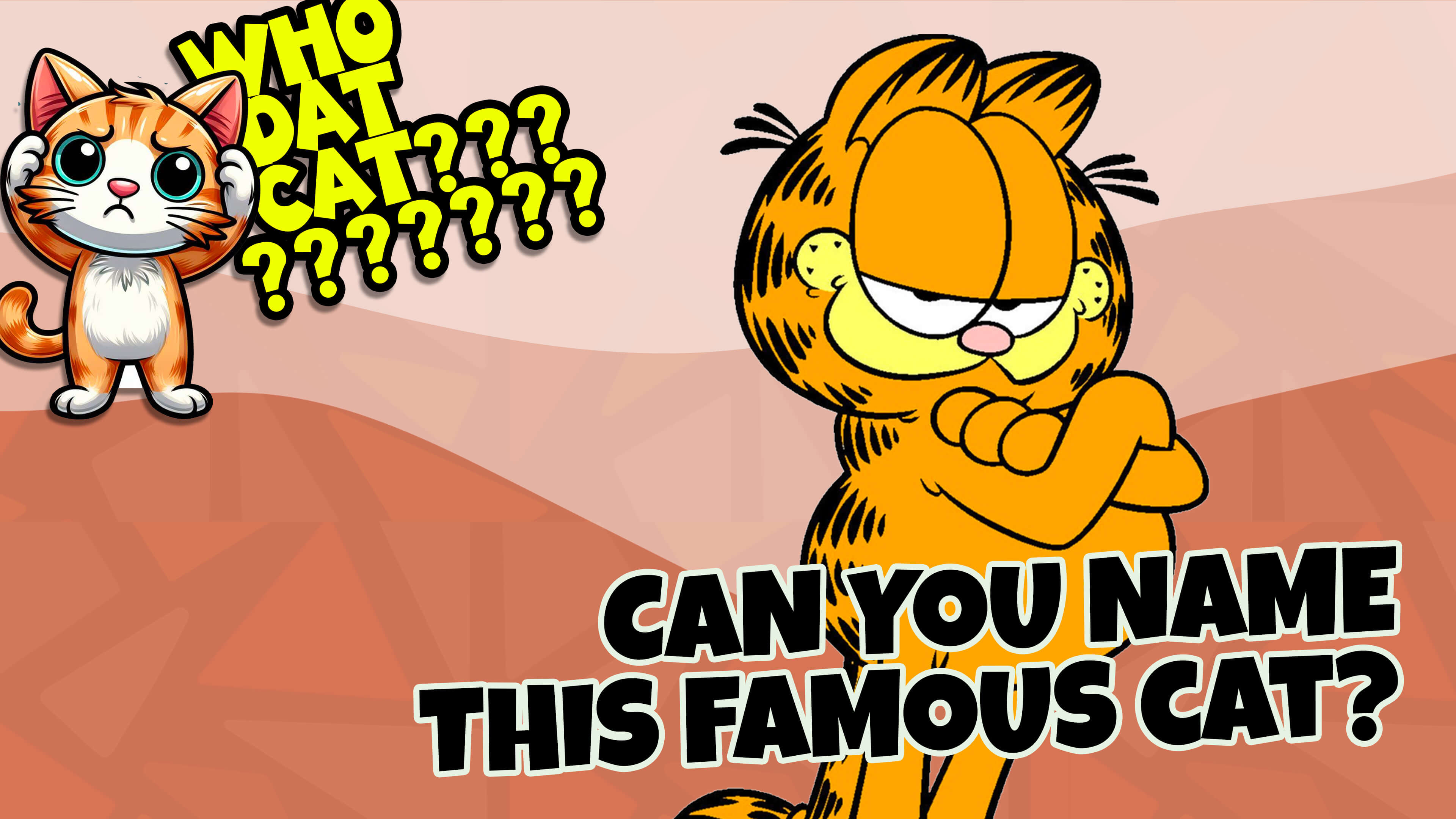 Dat Cat Who Dat Cat? — YM360