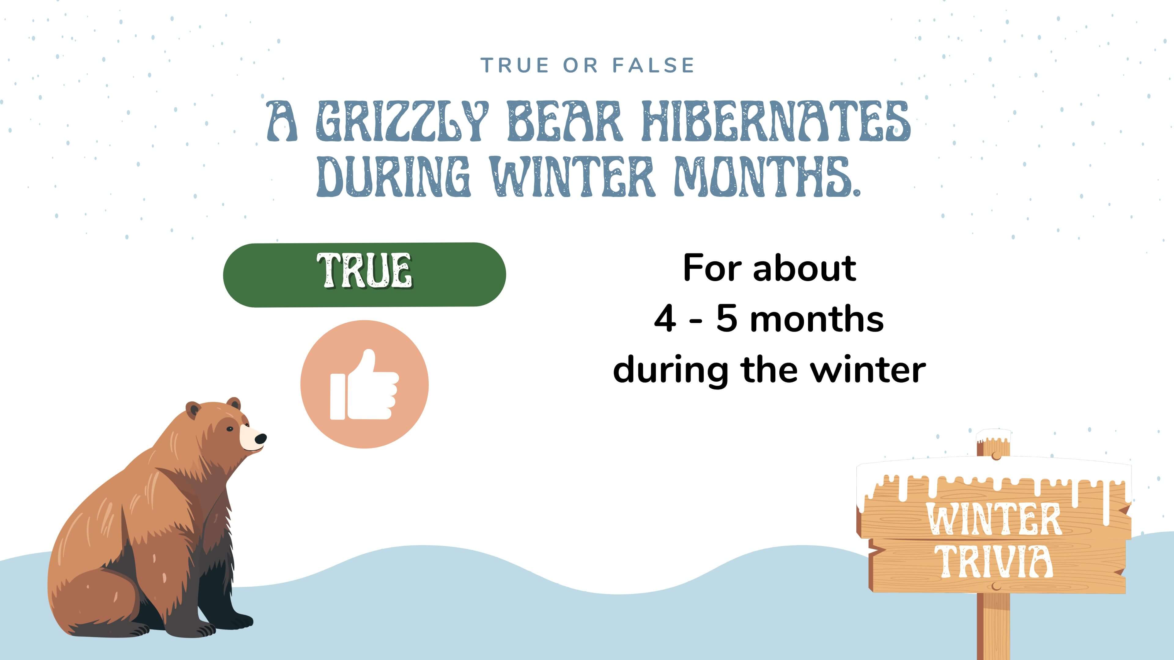 Winter Trivia