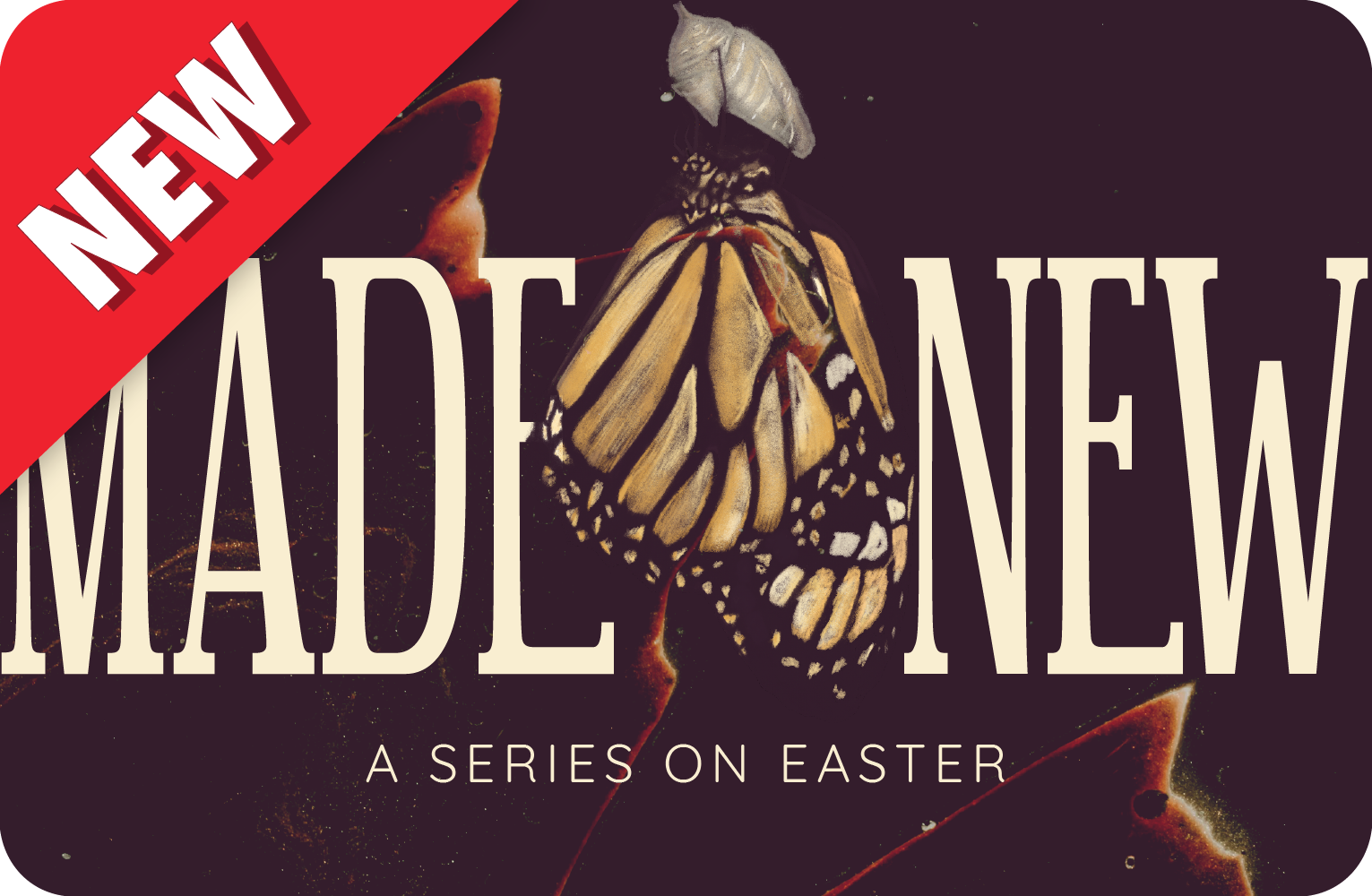 Made New – Teaching Series