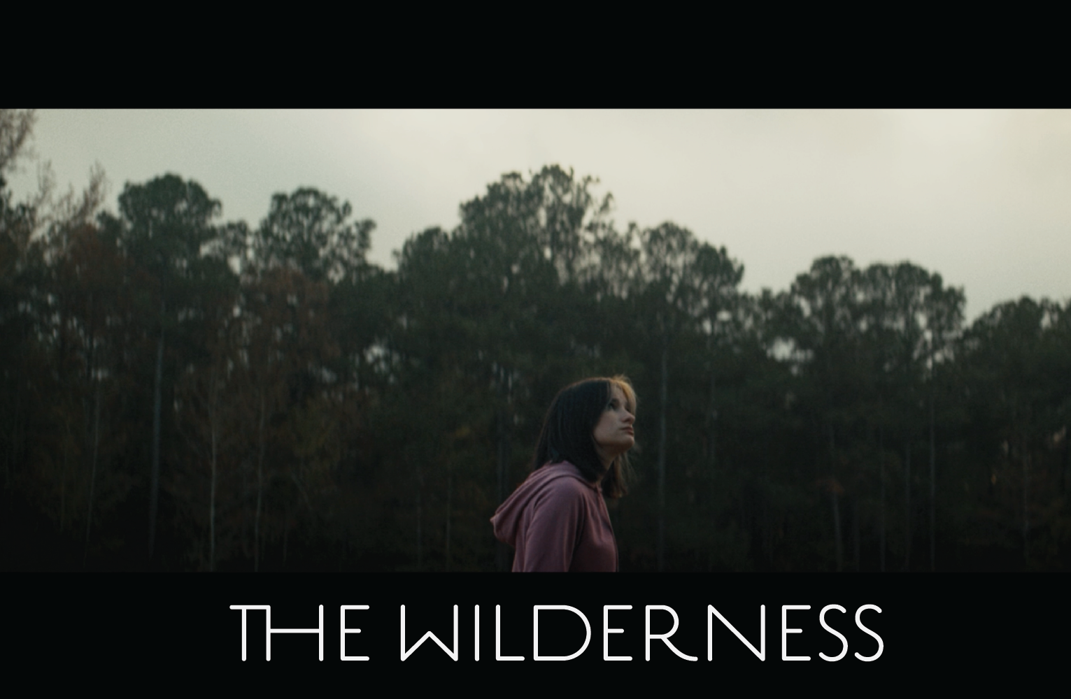 The Wilderness