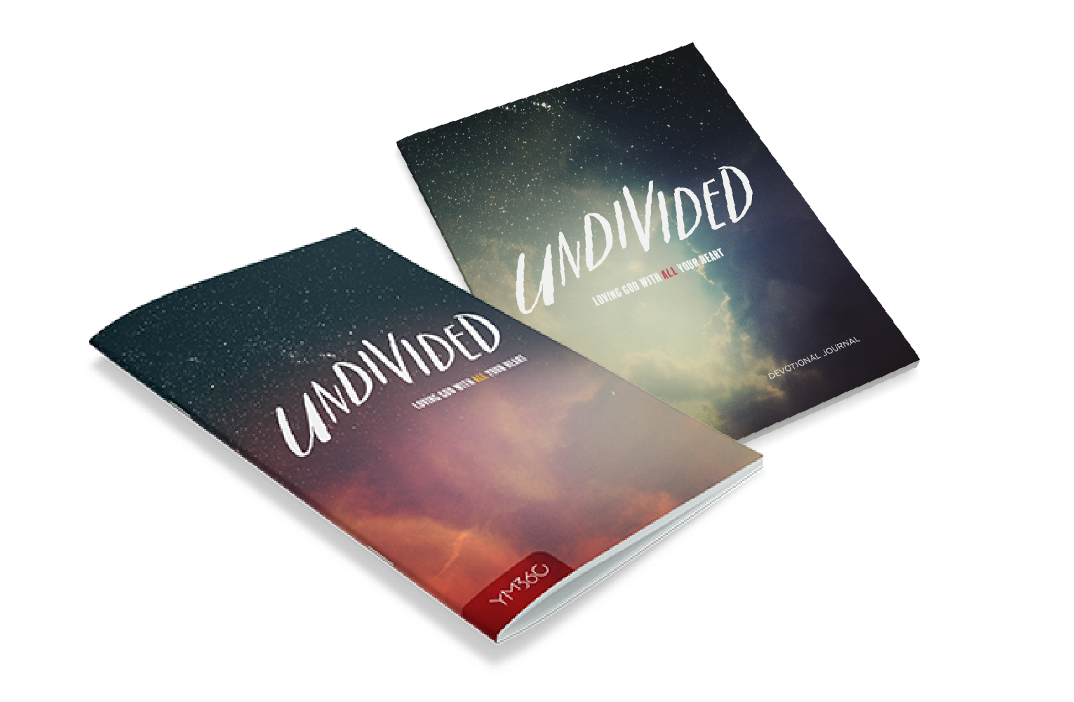 Undivided Book Bundle