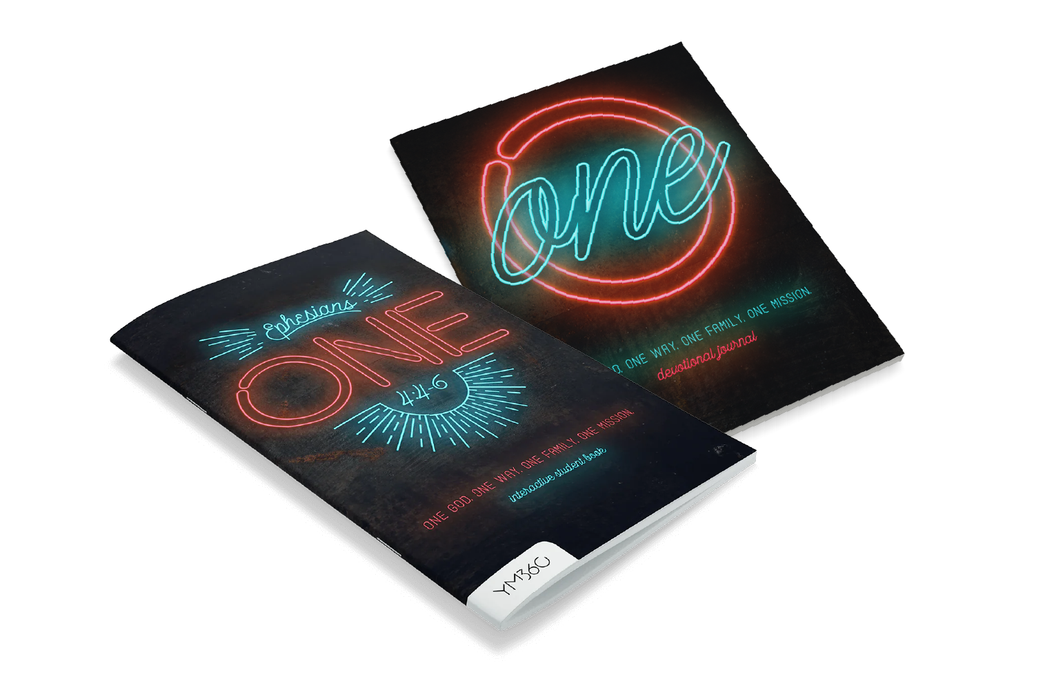 One Book Bundle