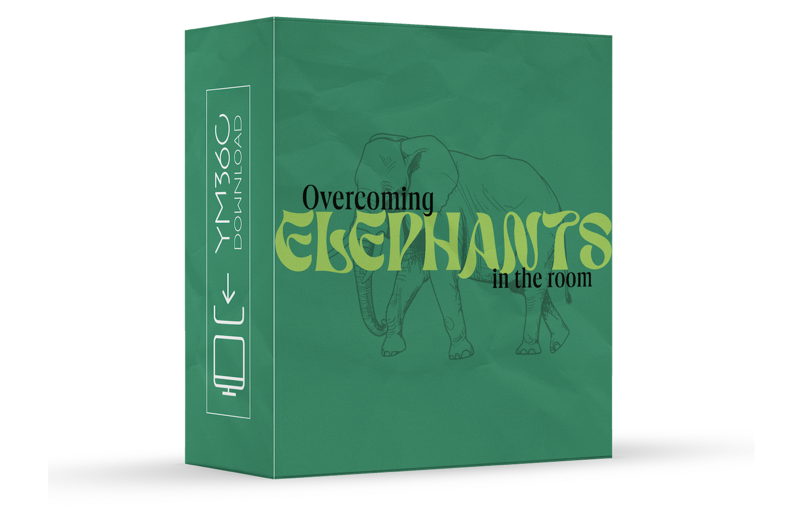 Overcoming Elephants in the Room: Confronting What we Tend to Ignore