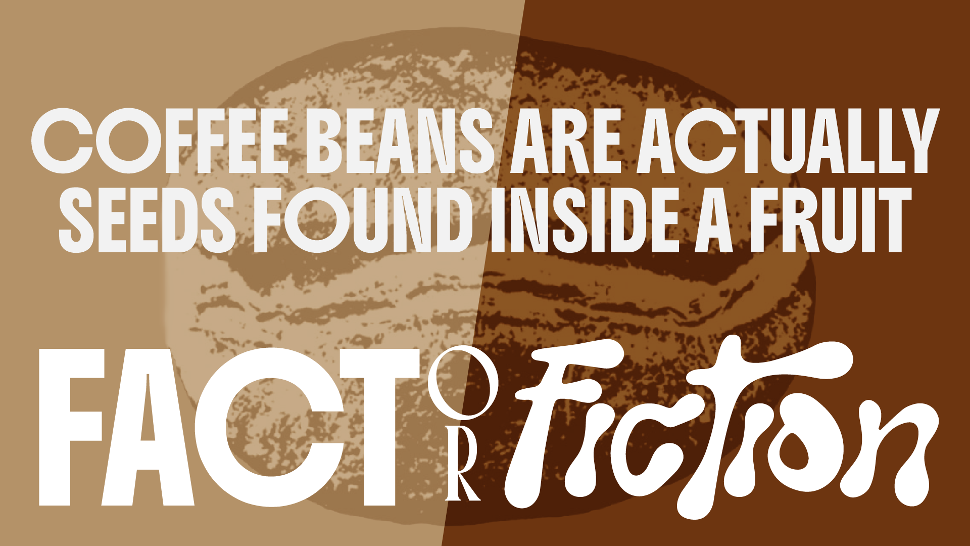 Fact Or Fiction: COFFEE