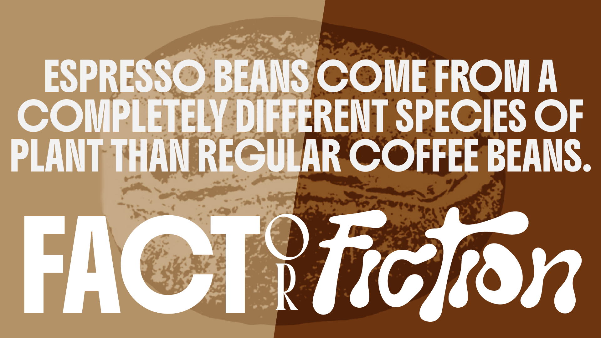 Fact Or Fiction: COFFEE