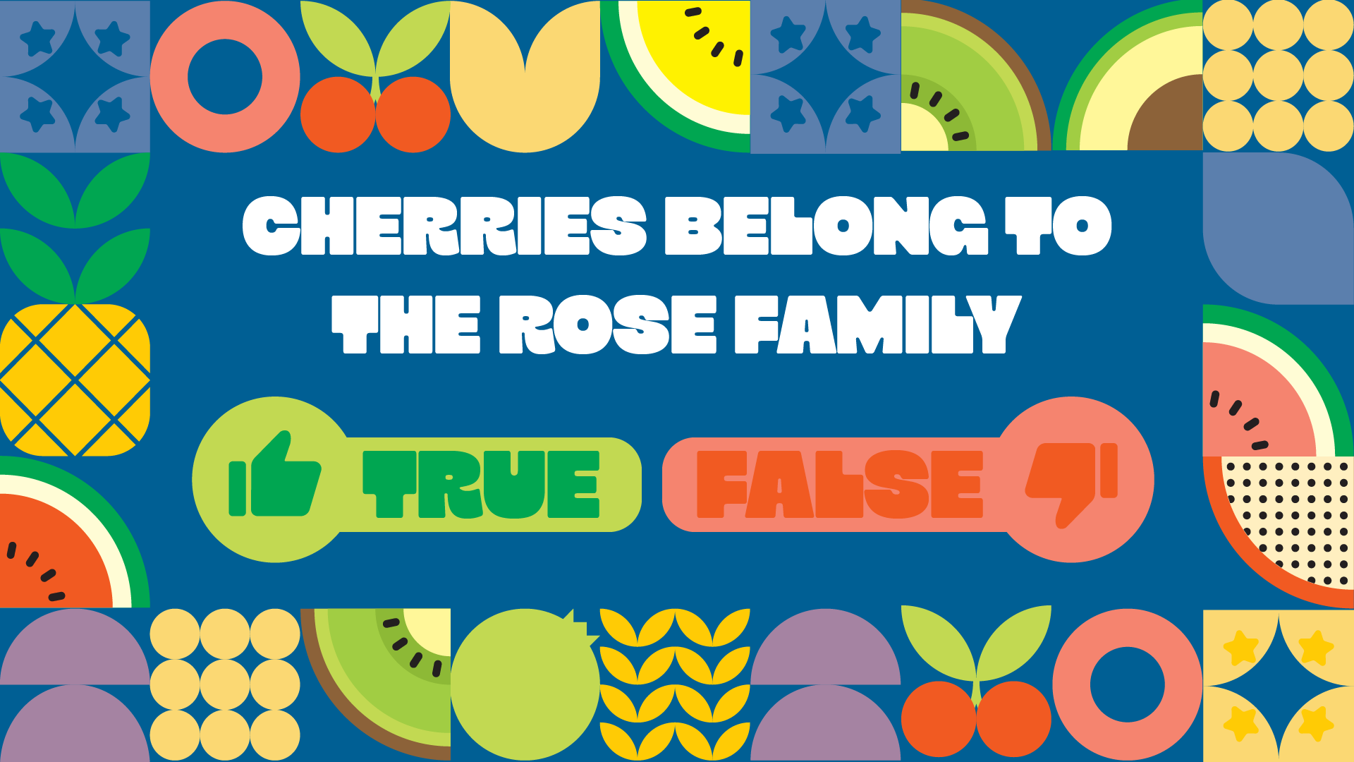 Fruit Or False 2