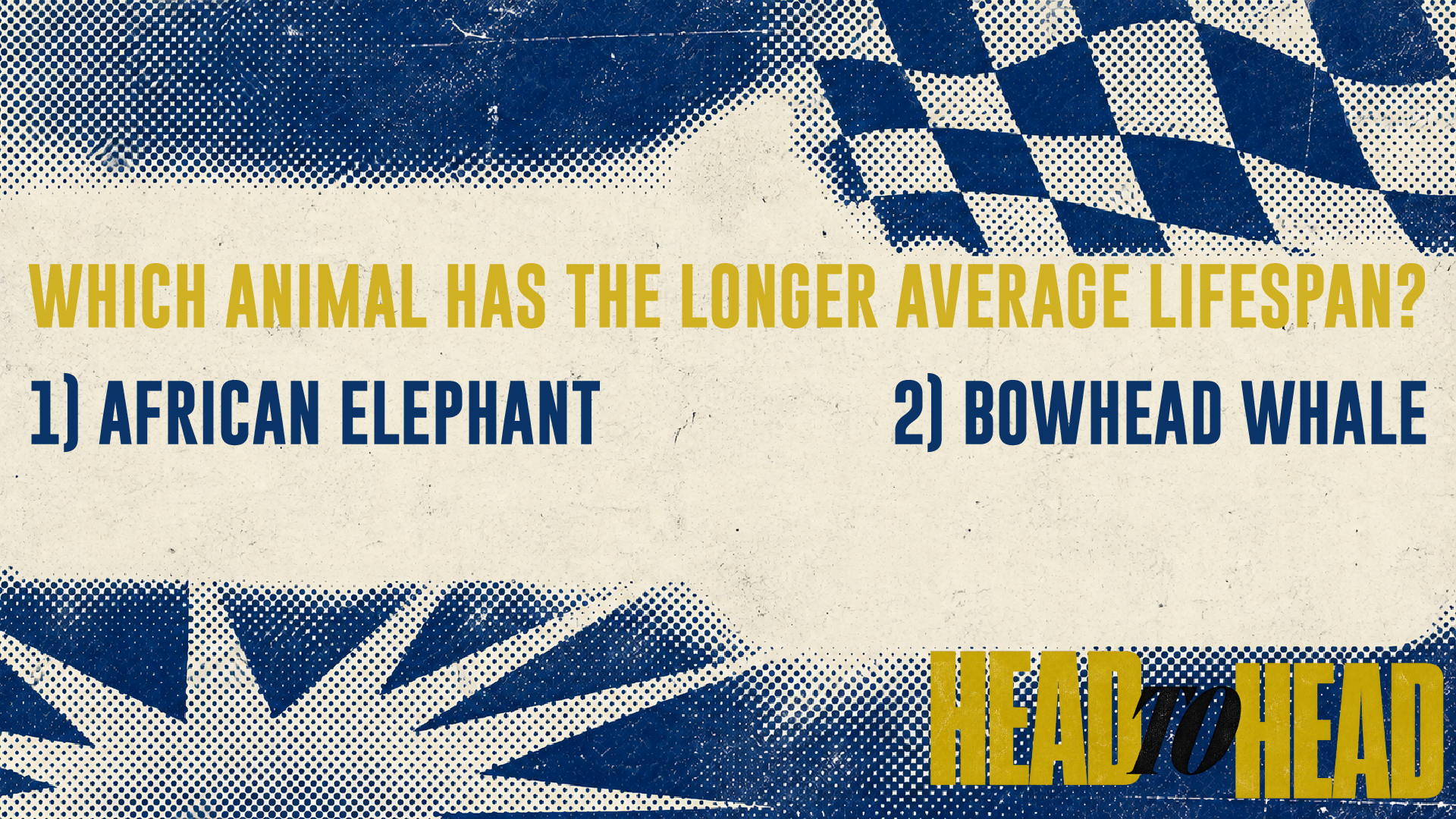 HEAD TO HEAD