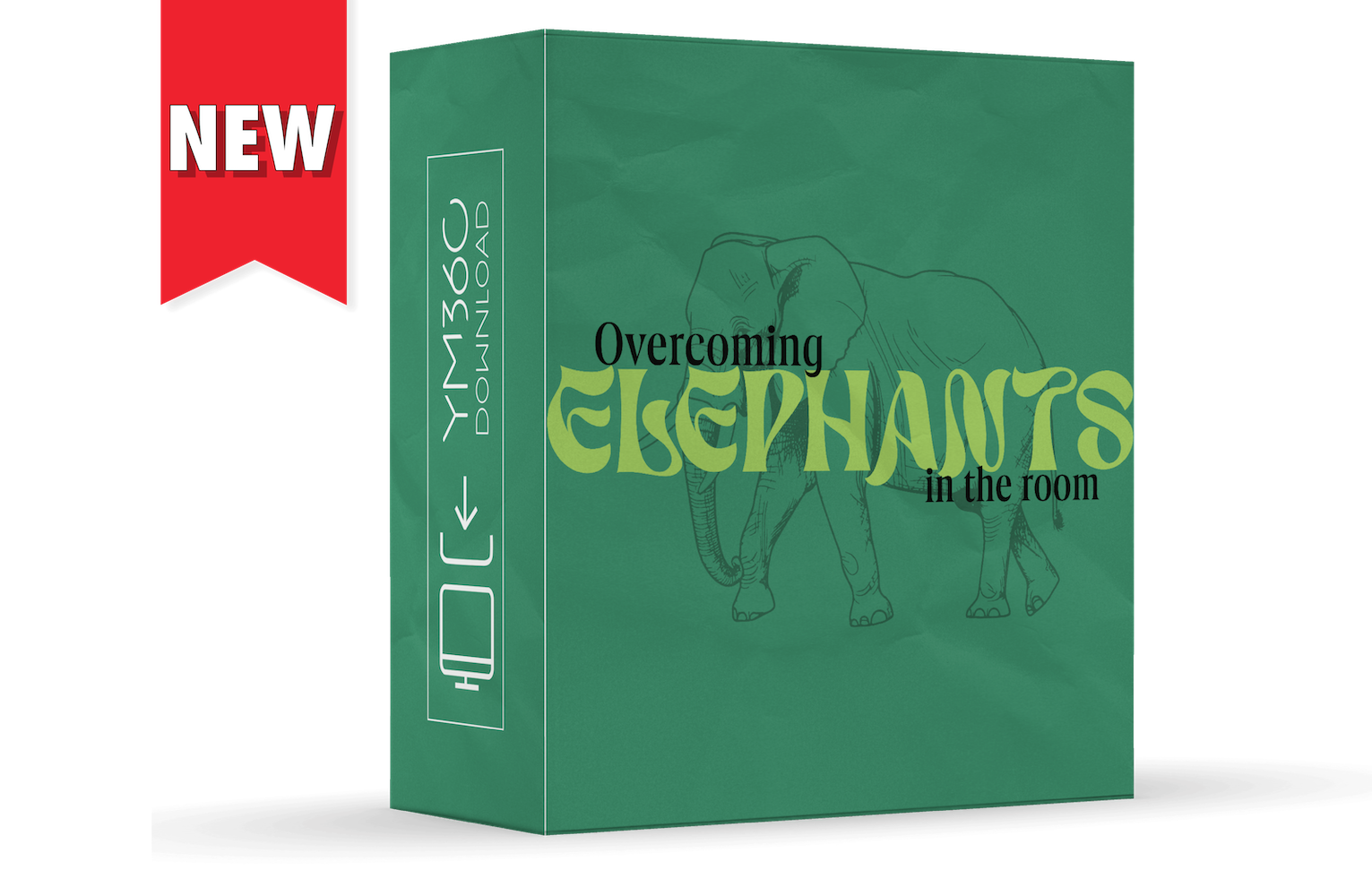 Overcoming Elephants in the Room: Confronting What we Tend to Ignore