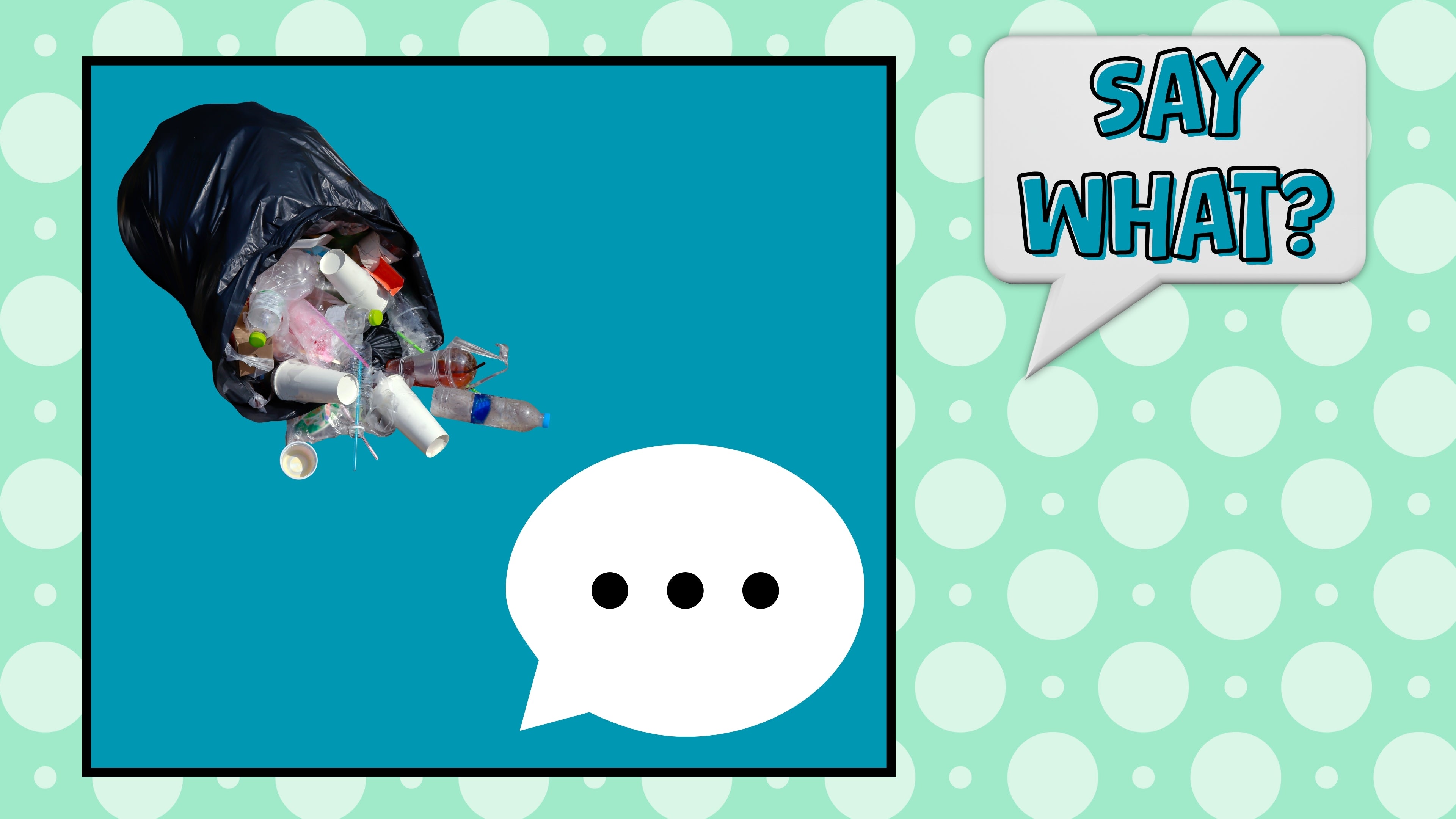 Say What? - Things We Say