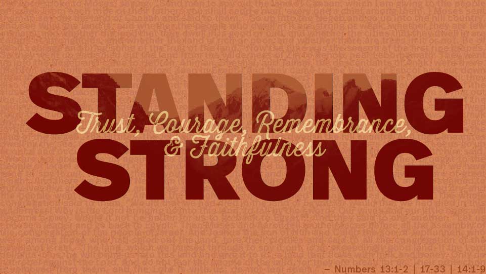 Standing Strong: A 4-Lesson Bible Study For Guys