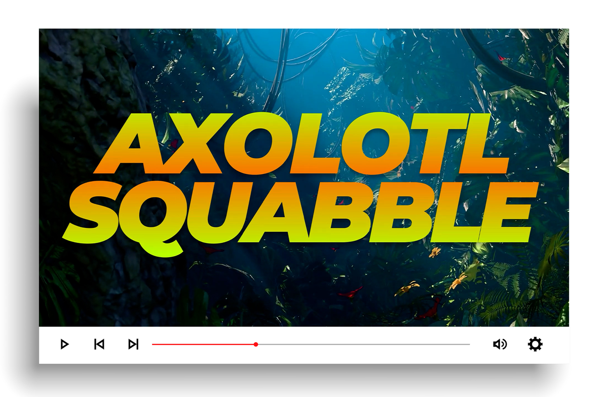 Axolotl Squabble — YM360