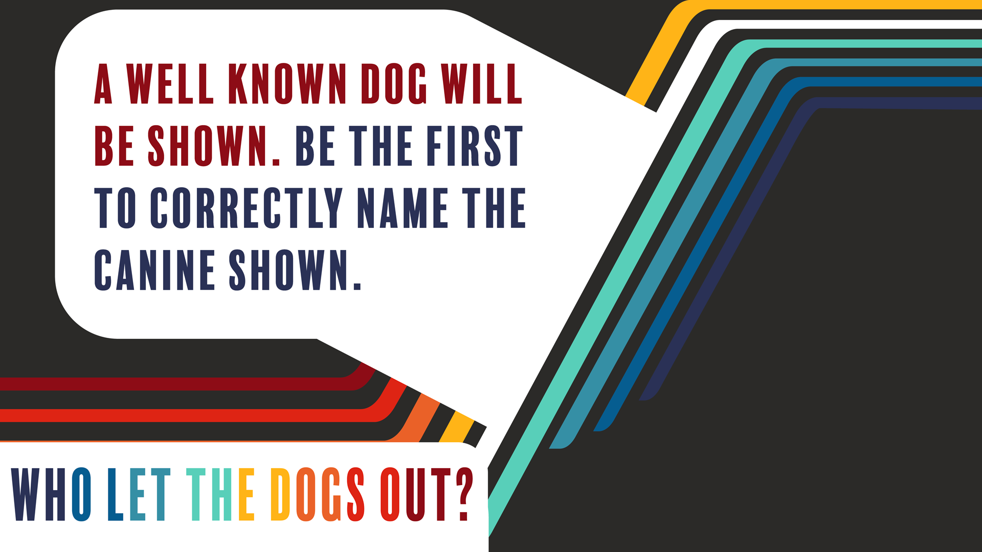 Who Let The Dogs Out?