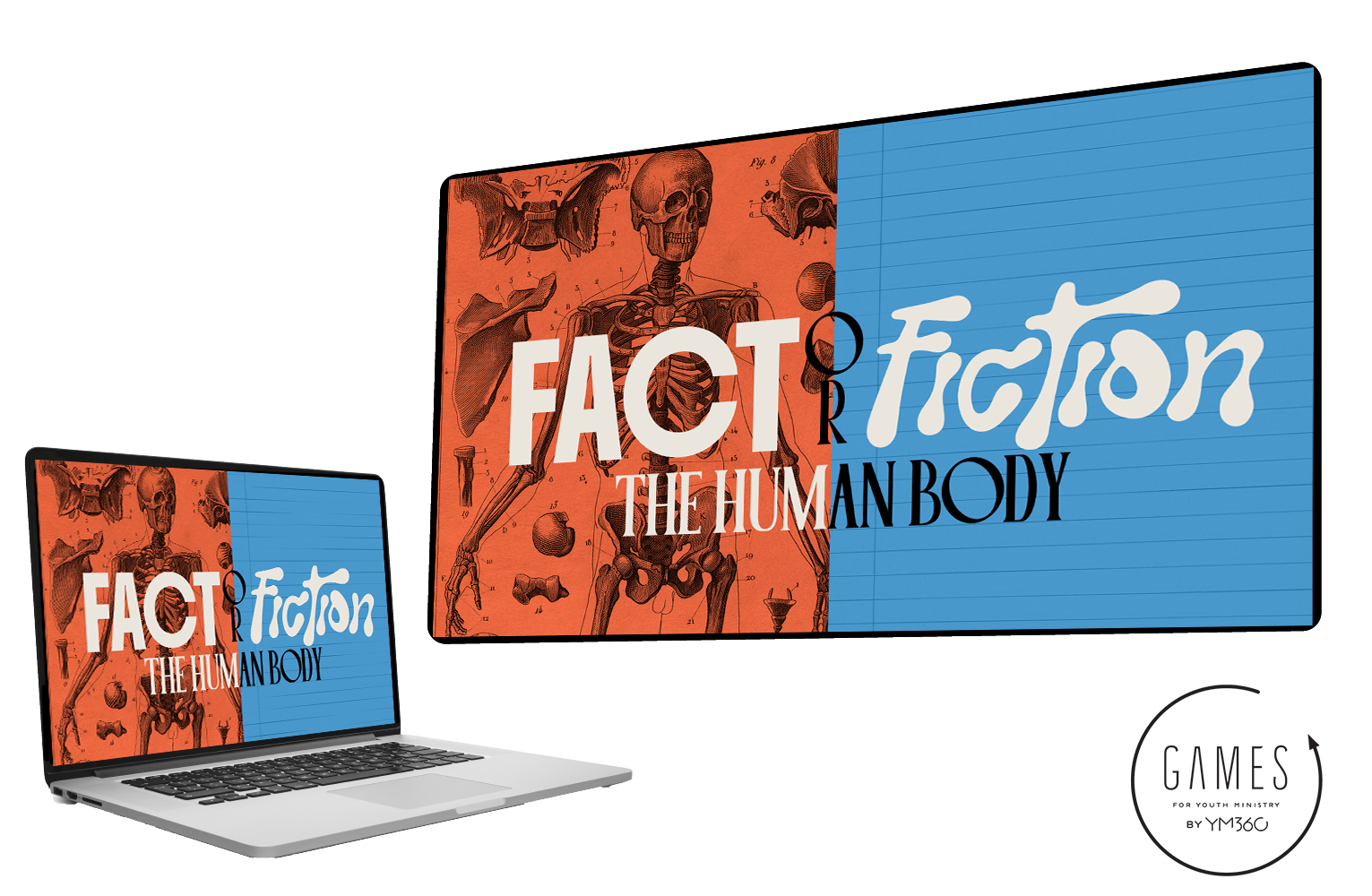 Fact Or Fiction Human Body