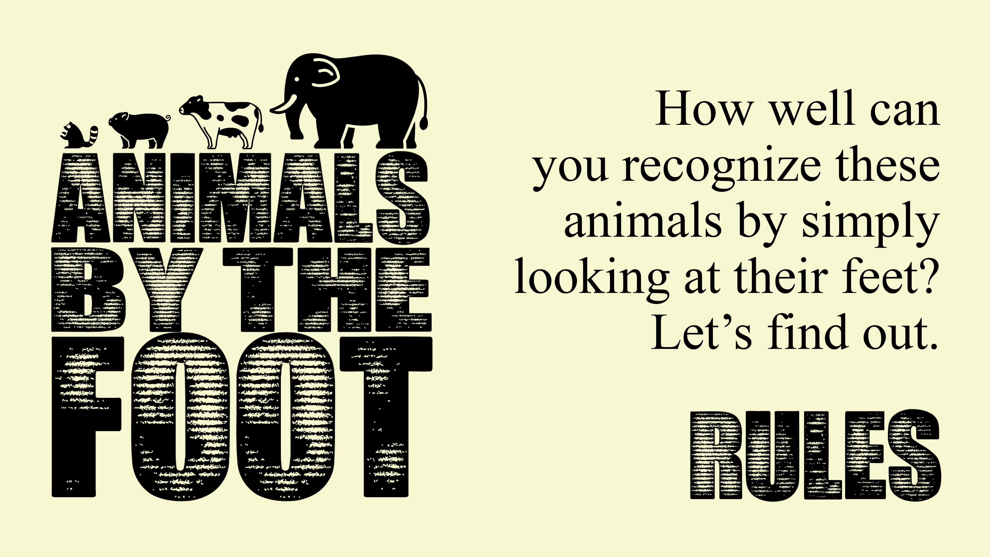 Animals By The Foot