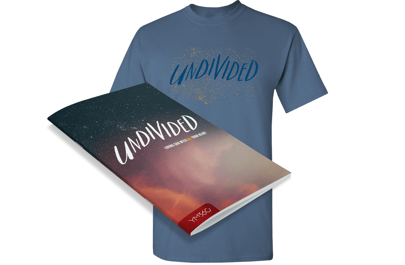 Undivided Bundles